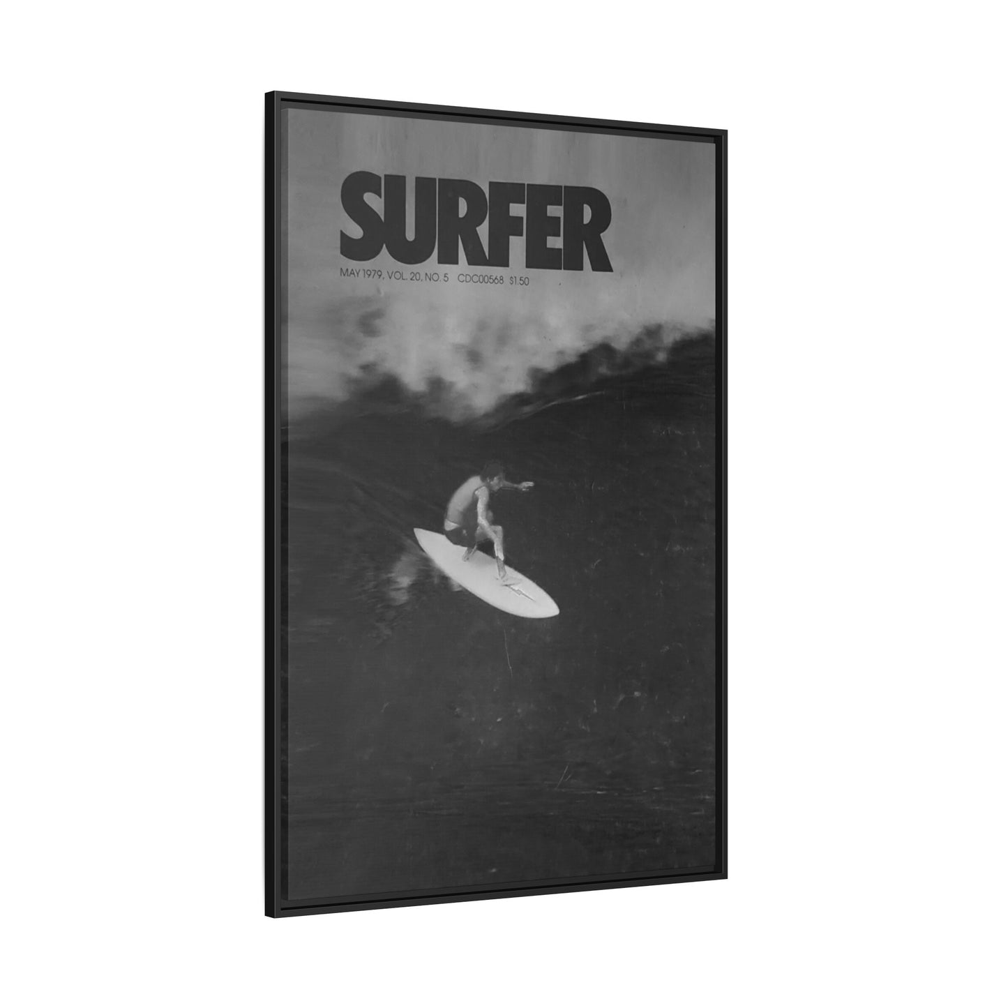 Cover Shot - Jerry - Framed Canvas