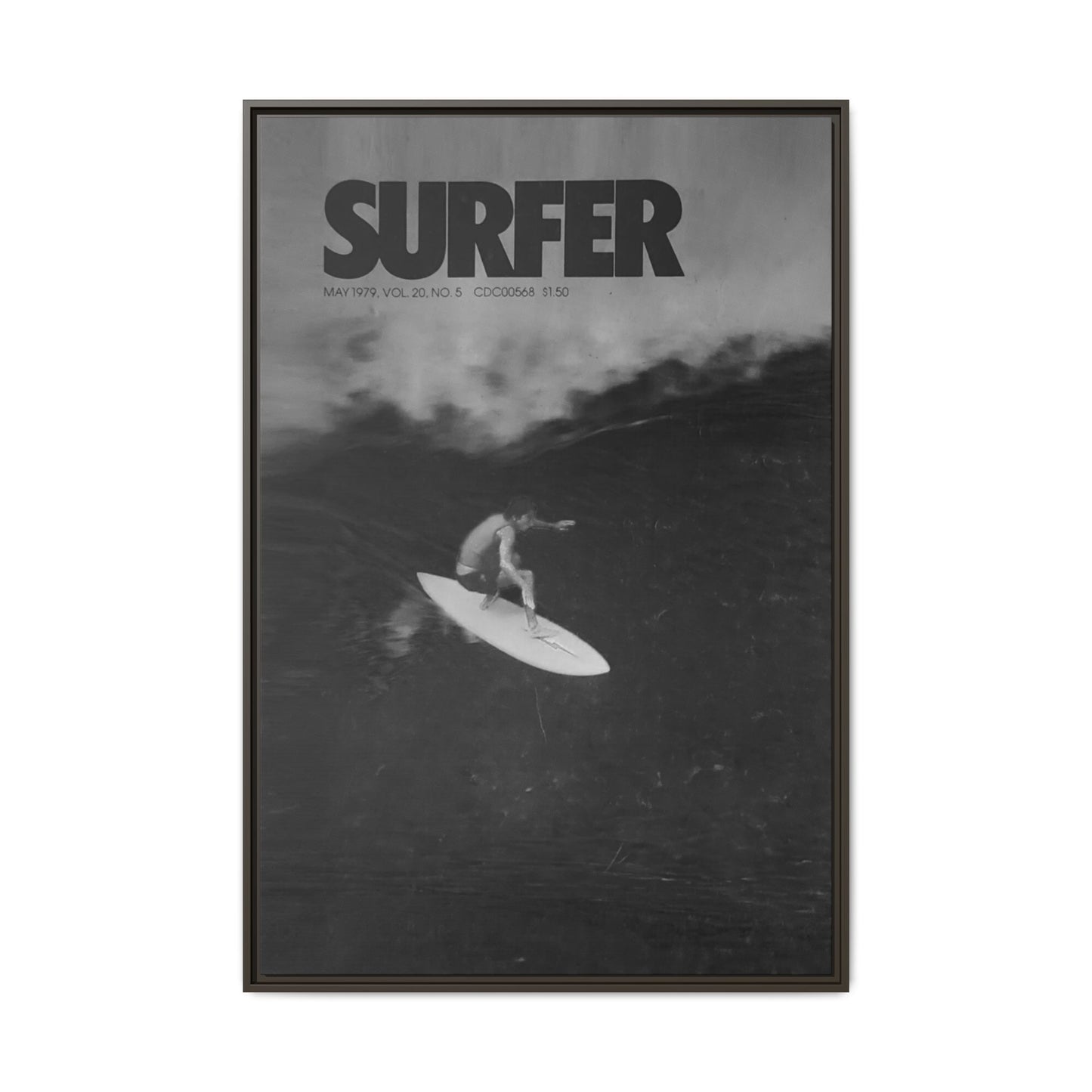 Cover Shot - Jerry - Framed Canvas