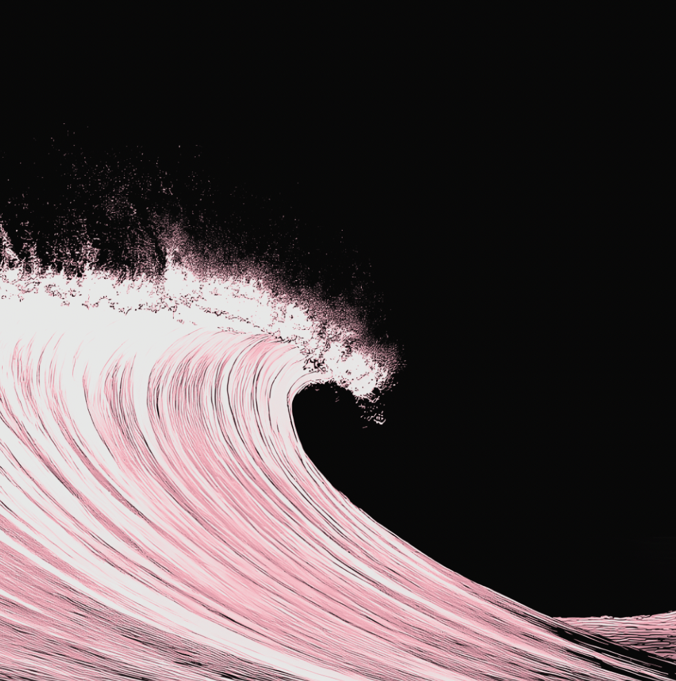 4D Surf - Black Rose - Framed Canvas