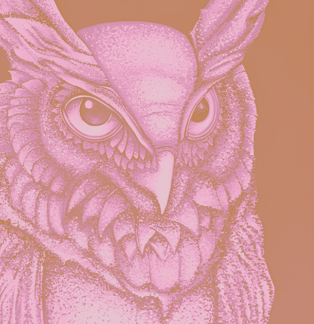 Hoo Are You - Pink - Framed Print