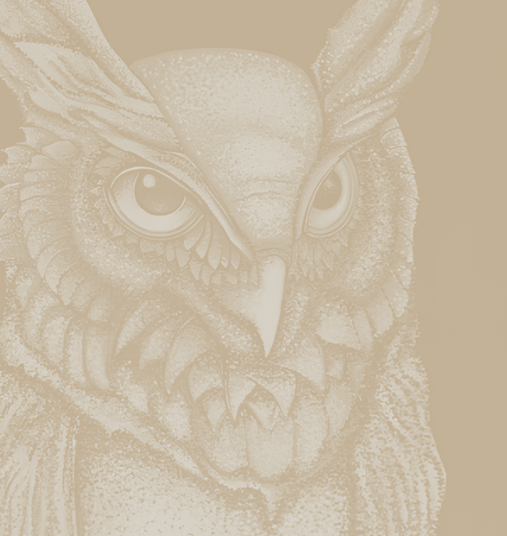 Hoo Are You - Sand - Framed Print