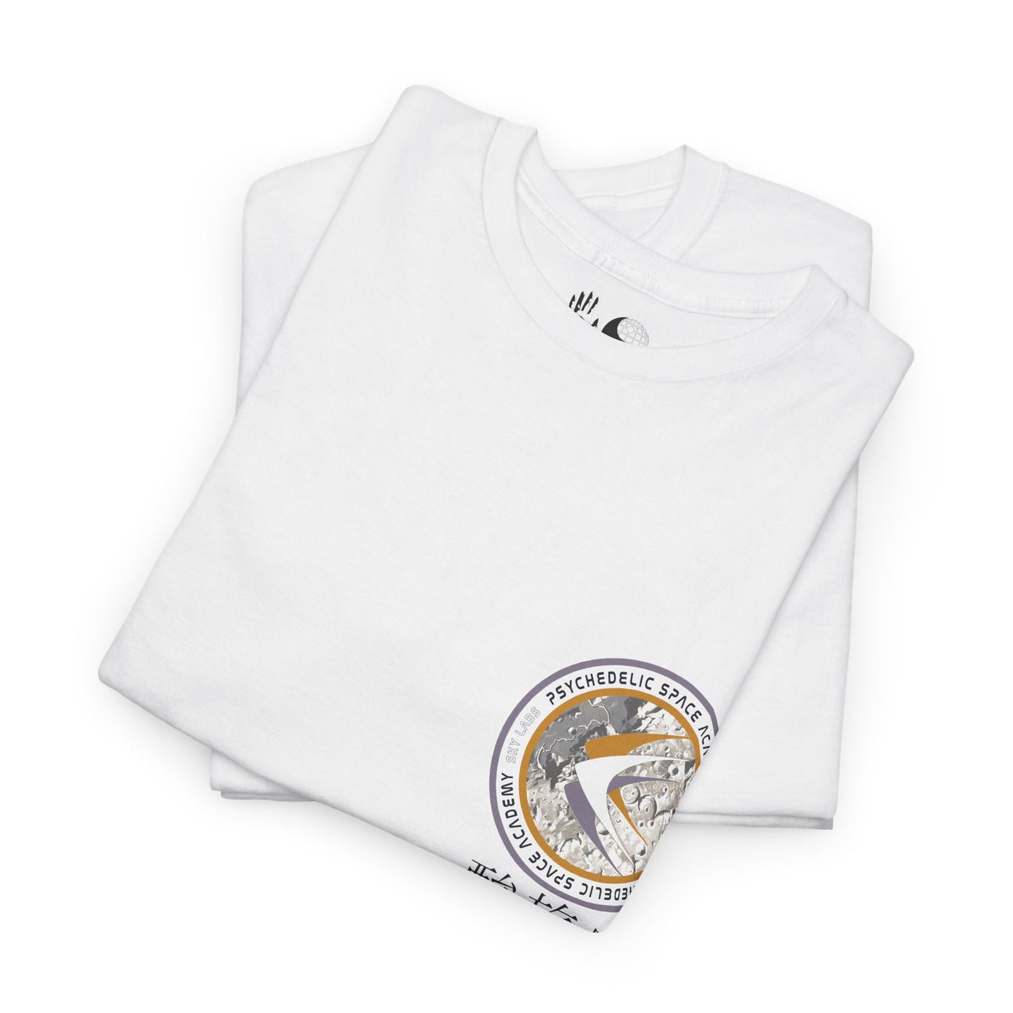 Apollo 15 Psychedelic Space Academy - T Shirt