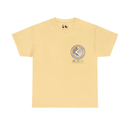 Apollo 15 Psychedelic Space Academy - T Shirt