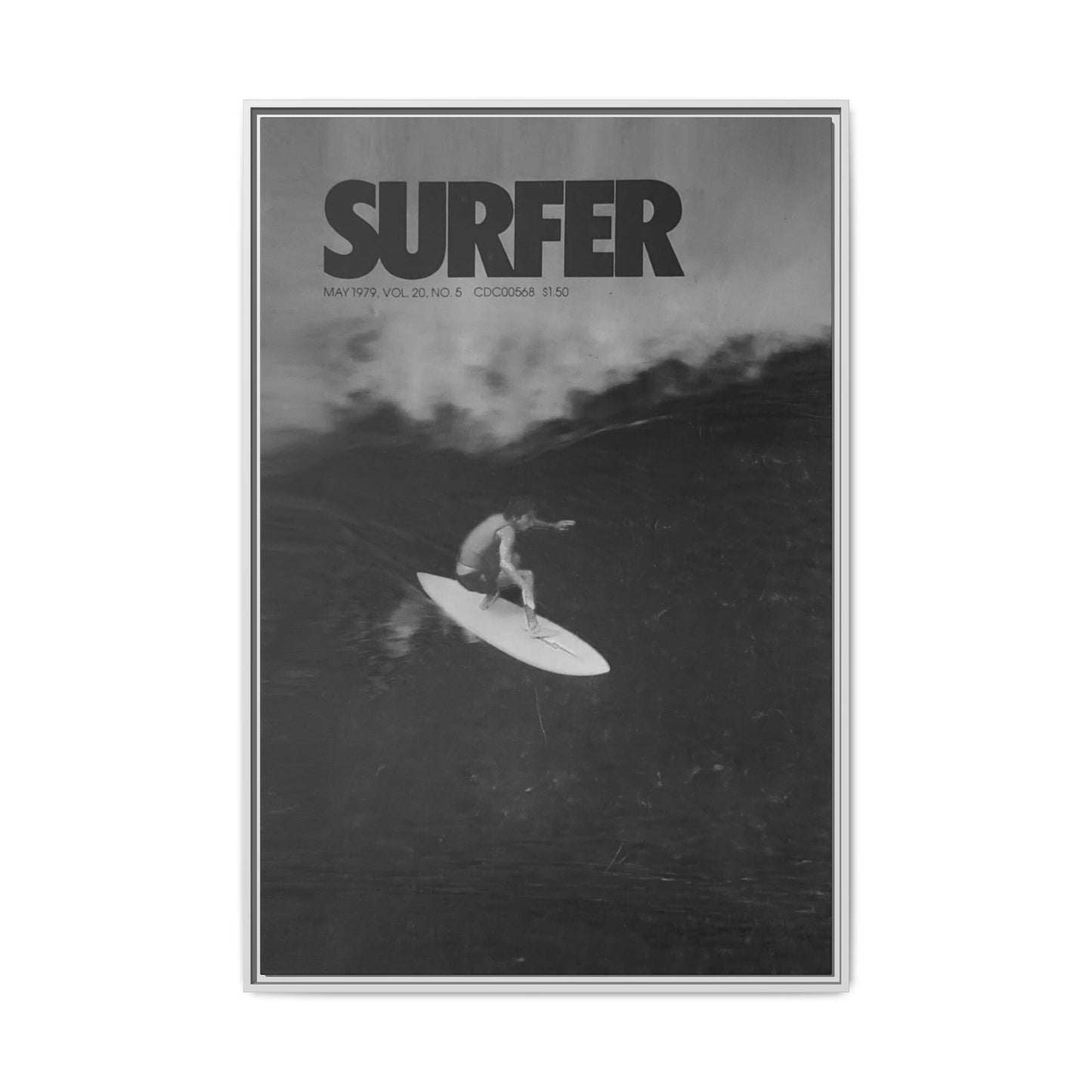 Cover Shot - Jerry - Framed Canvas