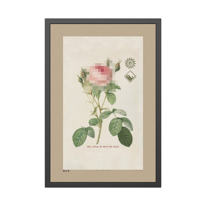 Smell The Roses 3 - Framed Print