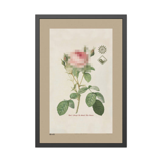 Smell The Roses 3 - Framed Print