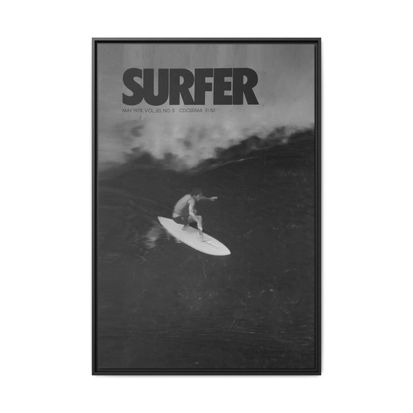 Cover Shot - Jerry - Framed Canvas