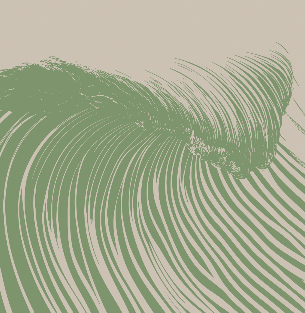 Wedge - Seaweed - Framed Canvas