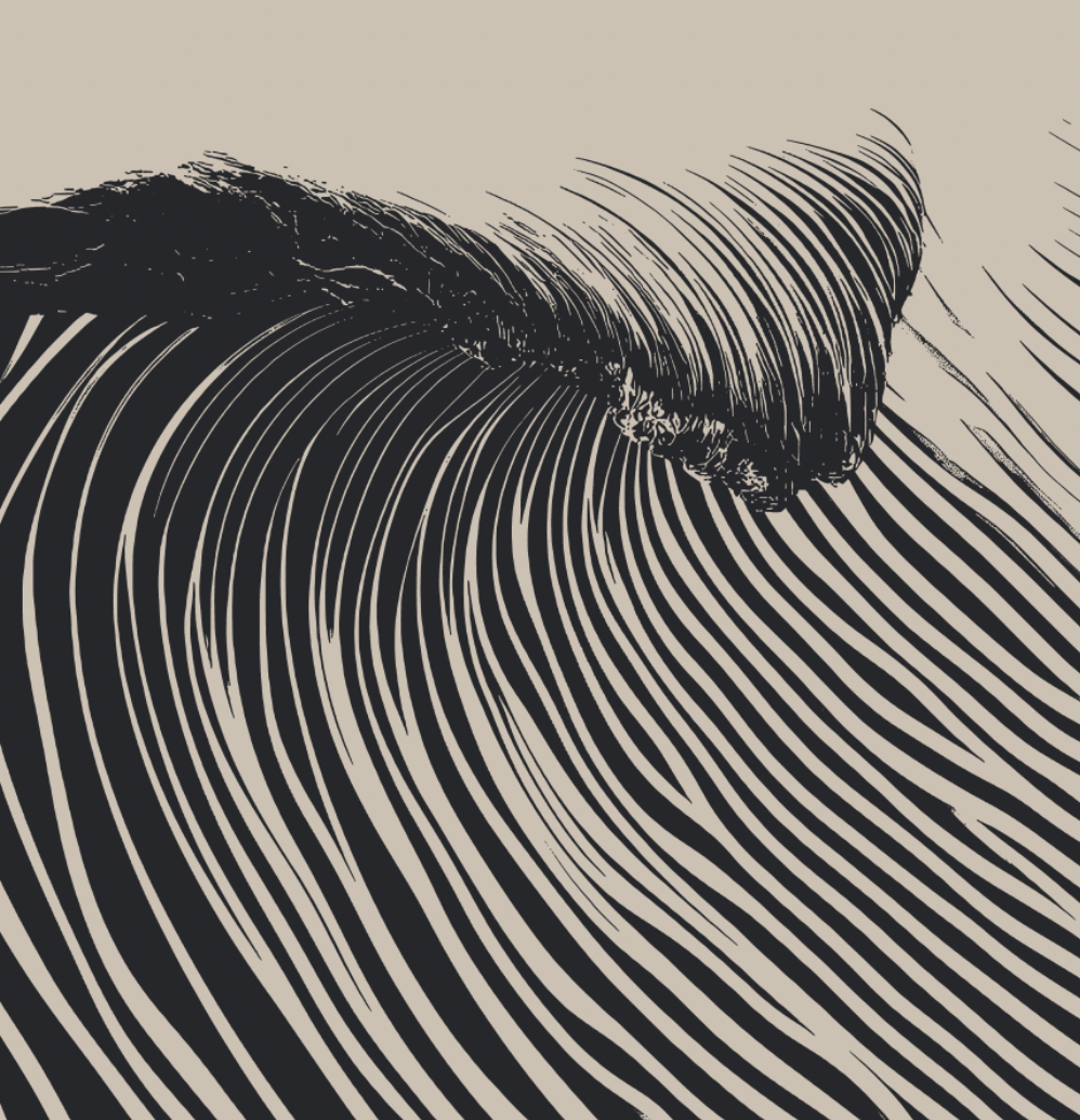 Wedge - Black & White - Framed Canvas