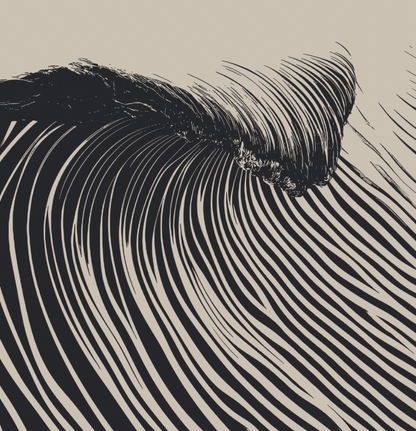 Wedge - Black & White - Framed Canvas