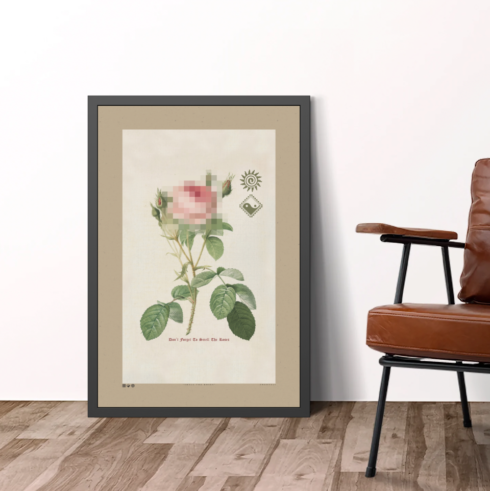 Smell The Roses 3 - Framed Print