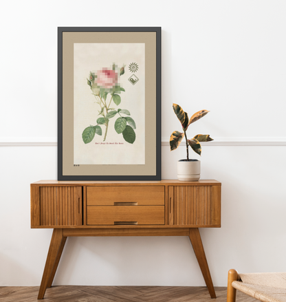 Smell The Roses 3 - Framed Print