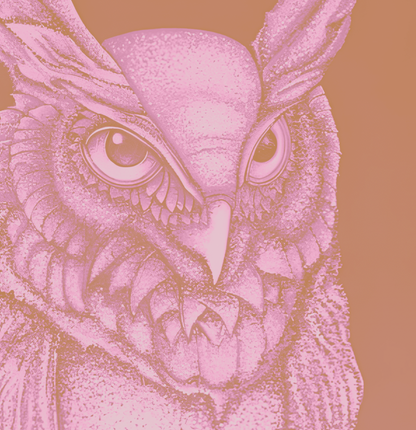 Hoo Are You - Pink - Framed Print