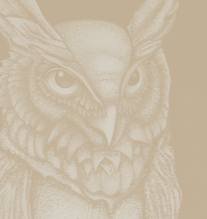 Hoo Are You - Sand - Framed Print